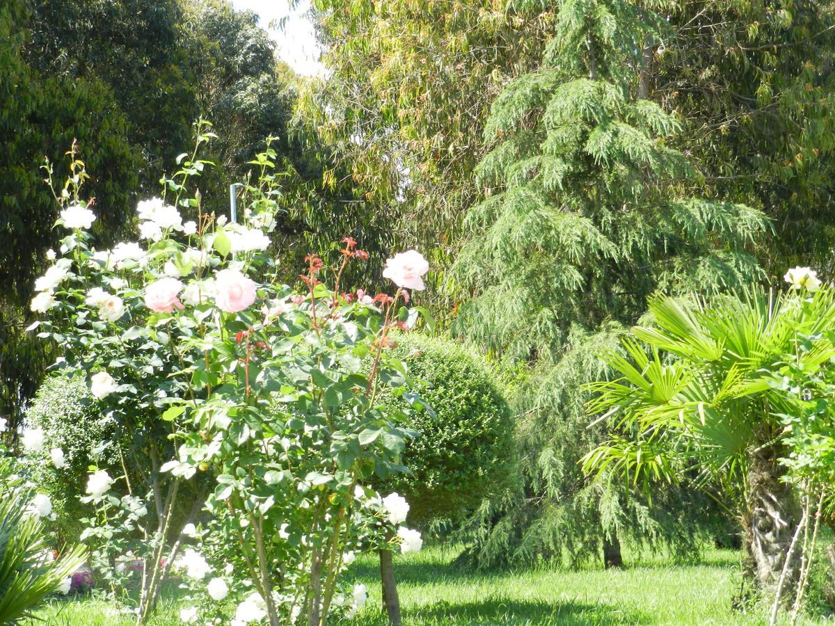 Il Nibbio Reale Country House Rocca d'Evandro Exterior photo
